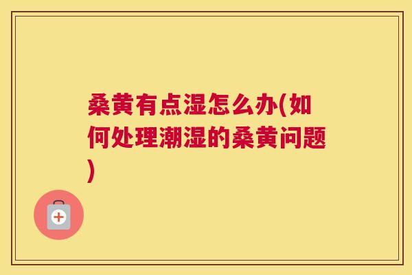 桑黄有点湿怎么办(如何处理潮湿的桑黄问题) 桑黄有点湿怎么办(如何处理潮湿的桑黄问题)