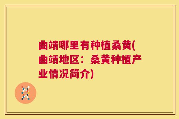 曲靖哪里有种植桑黄(曲靖地区:桑黄种植产业情况简介) 曲靖哪里有种植桑黄(曲靖地区:桑黄种植产业情况简介)