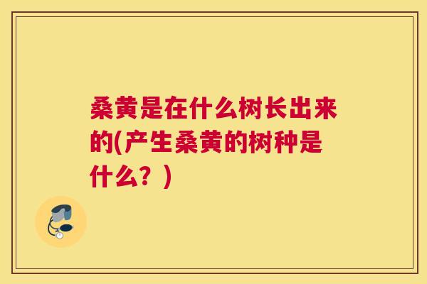 桑黄是在什么树长出来的(产生桑黄的树种是什么?) 桑黄是在什么树长出来的(产生桑黄的树种是什么?)