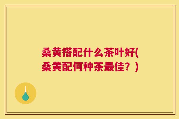 桑黄搭配什么茶叶好(桑黄配何种茶佳?) 桑黄搭配什么茶叶好(桑黄配何种茶佳?)