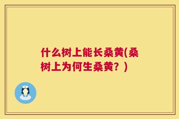 什么树上能长桑黄(桑树上为何生桑黄?) 什么树上能长桑黄(桑树上为何生桑黄?)