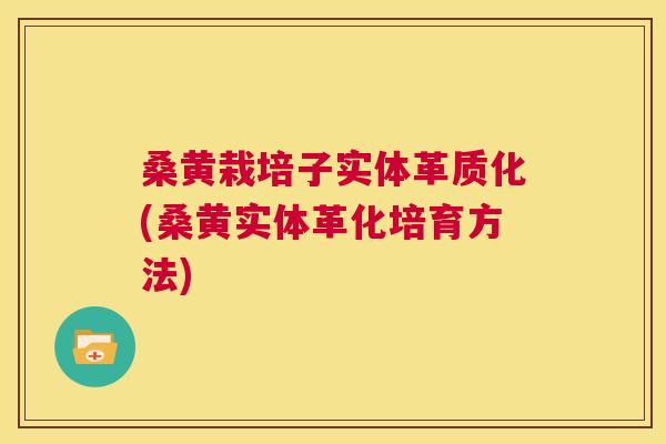 桑黄栽培子实体革质化(桑黄实体革化培育方法) 桑黄栽培子实体革质化(桑黄实体革化培育方法)