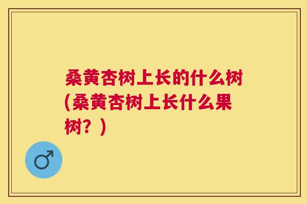 桑黄杏树上长的什么树(桑黄杏树上长什么果树?) 桑黄杏树上长的什么树(桑黄杏树上长什么果树?)