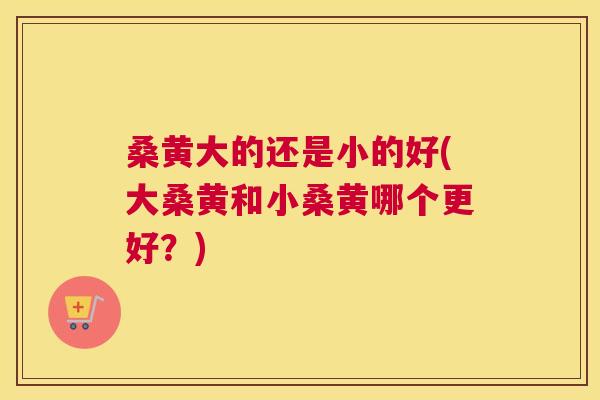 桑黄大的还是小的好(大桑黄和小桑黄哪个更好?) 桑黄大的还是小的好(大桑黄和小桑黄哪个更好?)