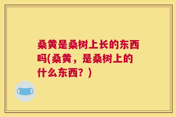 桑黄是桑树上长的东西吗(桑黄,是桑树上的什么东西?) 桑黄是桑树上长的东西吗(桑黄,是桑树上的什么东西?)