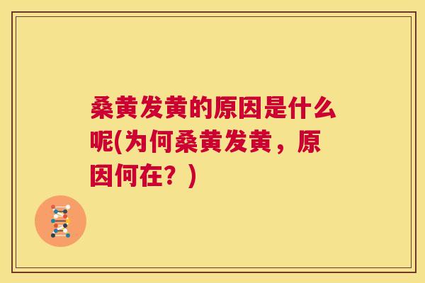 桑黄发黄的原因是什么呢(为何桑黄发黄,原因何在?) 桑黄发黄的原因是什么呢(为何桑黄发黄,原因何在?)