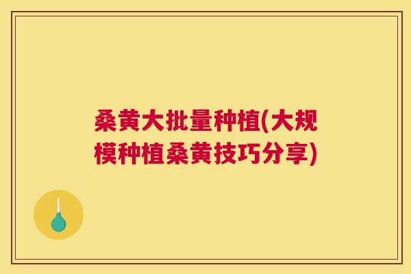 桑黄大批量种植(大规模种植桑黄技巧分享) 桑黄大批量种植(大规模种植桑黄技巧分享)