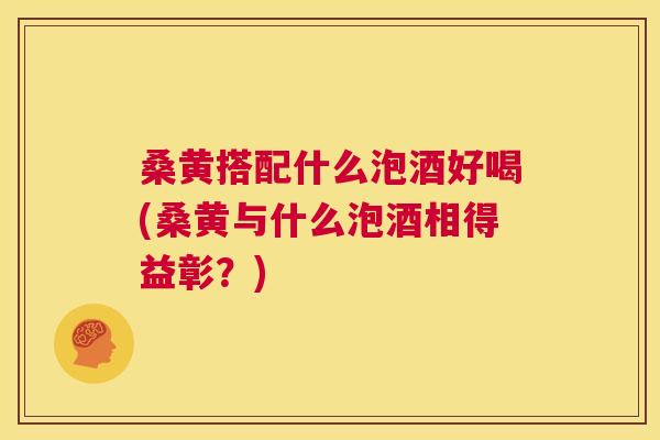 桑黄搭配什么泡酒好喝(桑黄与什么泡酒相得益彰?) 桑黄搭配什么泡酒好喝(桑黄与什么泡酒相得益彰?)