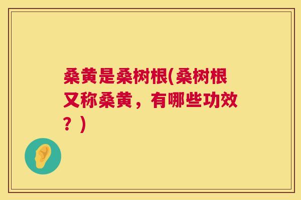 桑黄是桑树根(桑树根又称桑黄,有哪些功效?) 桑黄是桑树根(桑树根又称桑黄,有哪些功效?)