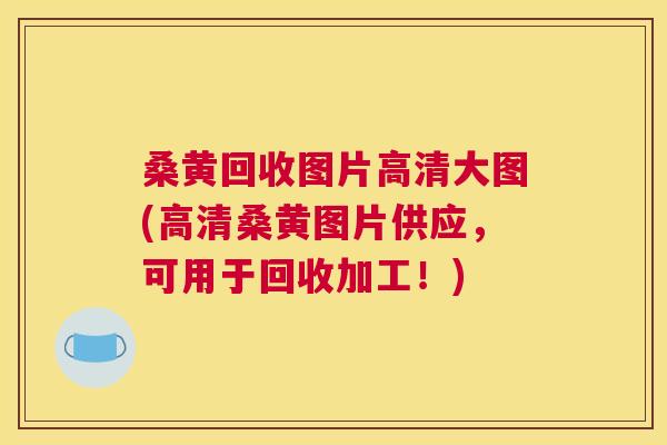 桑黄回收图片高清大图(高清桑黄图片供应,可用于回收加工!) 桑黄回收图片高清大图(高清桑黄图片供应,可用于回收加工!)