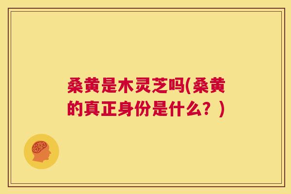 桑黄是木灵芝吗(桑黄的真正身份是什么？)