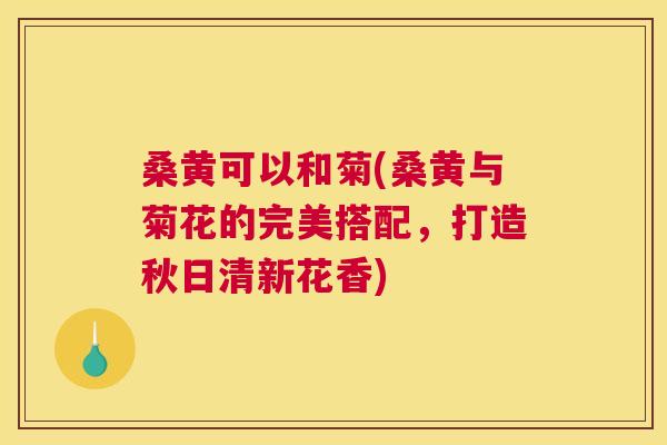 桑黄可以和菊(桑黄与菊花的完美搭配,打造秋日清新花香) 桑黄可以和菊(桑黄与菊花的完美搭配,打造秋日清新花香)