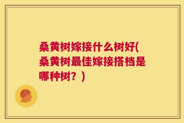 桑黄树嫁接什么树好(桑黄树佳嫁接搭档是哪种树?) 桑黄树嫁接什么树好(桑黄树佳嫁接搭档是哪种树?)