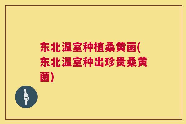 东北温室种植桑黄菌(东北温室种出珍贵桑黄菌) 东北温室种植桑黄菌(东北温室种出珍贵桑黄菌)