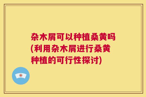 杂木屑可以种植桑黄吗(利用杂木屑进行桑黄种植的可行性探讨) 杂木屑可以种植桑黄吗(利用杂木屑进行桑黄种植的可行性探讨)