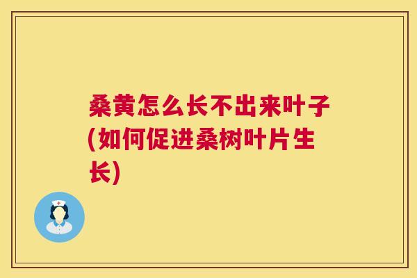桑黄怎么长不出来叶子(如何促进桑树叶片生长) 桑黄怎么长不出来叶子(如何促进桑树叶片生长)