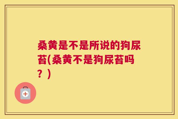 桑黄是不是所说的狗尿苔(桑黄不是狗尿苔吗?) 桑黄是不是所说的狗尿苔(桑黄不是狗尿苔吗?)