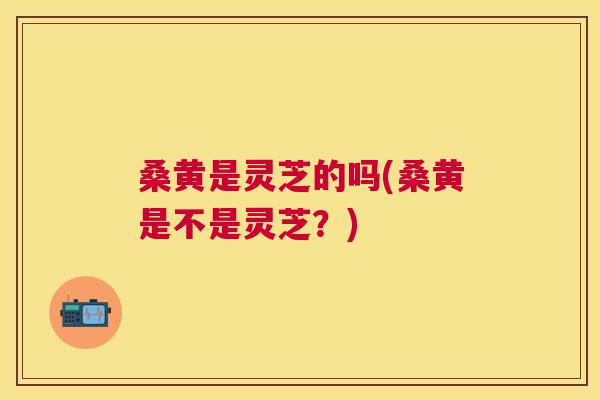 桑黄是灵芝的吗(桑黄是不是灵芝?) 桑黄是灵芝的吗(桑黄是不是灵芝?)