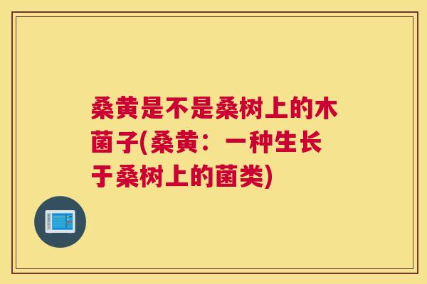 桑黄是不是桑树上的木菌子(桑黄:一种生长于桑树上的菌类) 桑黄是不是桑树上的木菌子(桑黄:一种生长于桑树上的菌类)
