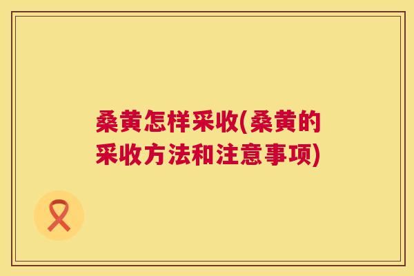 桑黄怎样采收(桑黄的采收方法和注意事项) 桑黄怎样采收(桑黄的采收方法和注意事项)