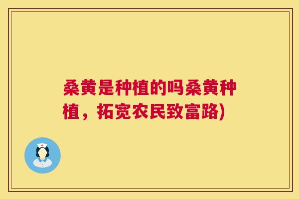 桑黄是种植的吗桑黄种植,拓宽农民致富路) 桑黄是种植的吗桑黄种植,拓宽农民致富路)