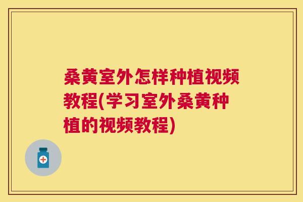 桑黄室外怎样种植视频教程(学习室外桑黄种植的视频教程) 桑黄室外怎样种植视频教程(学习室外桑黄种植的视频教程)