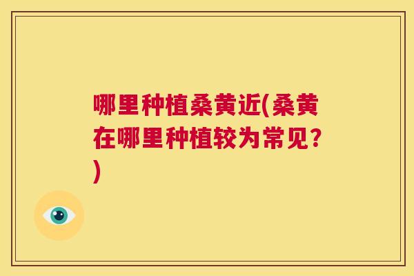 哪里种植桑黄近(桑黄在哪里种植较为常见?) 哪里种植桑黄近(桑黄在哪里种植较为常见?)