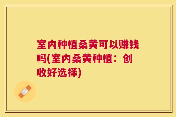 室内种植桑黄可以赚钱吗(室内桑黄种植:创收好选择) 室内种植桑黄可以赚钱吗(室内桑黄种植:创收好选择)