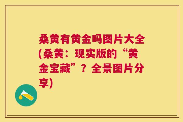 桑黄有黄金吗图片大全(桑黄:现实版的“黄金宝藏”?全景图片分享) 桑黄有黄金吗图片大全(桑黄:现实版的“黄金宝藏”?全景图片分享)