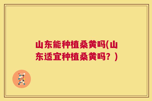 山东能种植桑黄吗(山东适宜种植桑黄吗?) 山东能种植桑黄吗(山东适宜种植桑黄吗?)