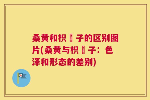 桑黄和枳椇子的区别图片(桑黄与枳椇子:色泽和形态的差别) 桑黄和枳椇子的区别图片(桑黄与枳椇子:色泽和形态的差别)