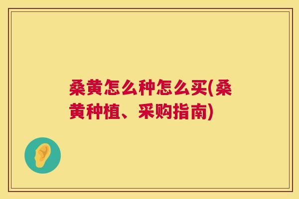 桑黄怎么种怎么买(桑黄种植、采购指南) 桑黄怎么种怎么买(桑黄种植、采购指南)