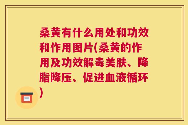 桑黄有什么用处和功效和作用图片(桑黄的作用及功效美肤、、促进) 桑黄有什么用处和功效和作用图片(桑黄的作用及功效美肤、、促进)