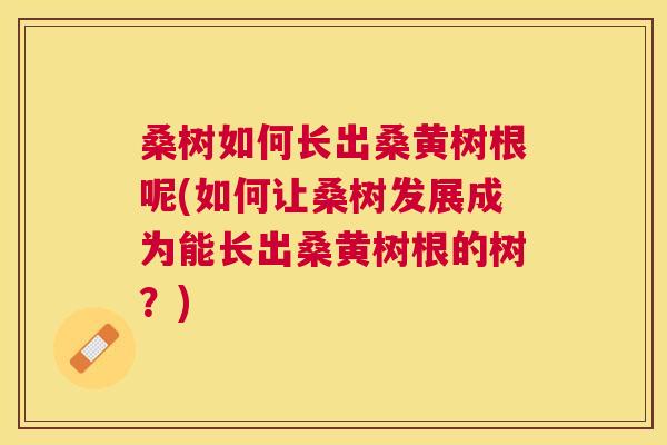 桑树如何长出桑黄树根呢(如何让桑树发展成为能长出桑黄树根的树?) 桑树如何长出桑黄树根呢(如何让桑树发展成为能长出桑黄树根的树?)