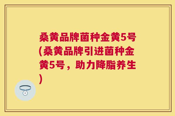 桑黄品牌菌种金黄5号(桑黄品牌引进菌种金黄5号,助力养生) 桑黄品牌菌种金黄5号(桑黄品牌引进菌种金黄5号,助力养生)