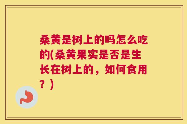 桑黄是树上的吗怎么吃的(桑黄果实是否是生长在树上的,如何食用?) 桑黄是树上的吗怎么吃的(桑黄果实是否是生长在树上的,如何食用?)