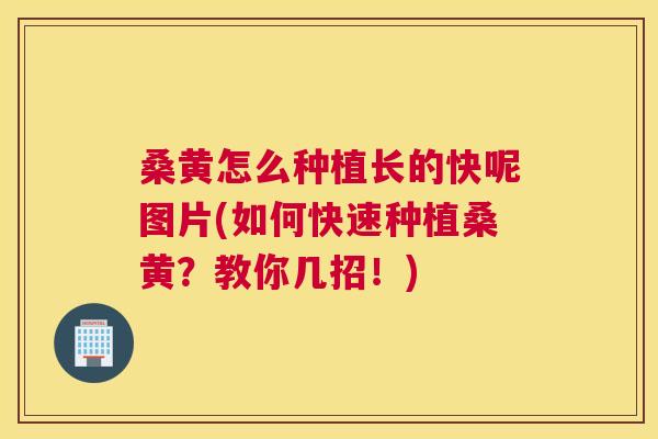 桑黄怎么种植长的快呢图片(如何快速种植桑黄?教你几招!) 桑黄怎么种植长的快呢图片(如何快速种植桑黄?教你几招!)