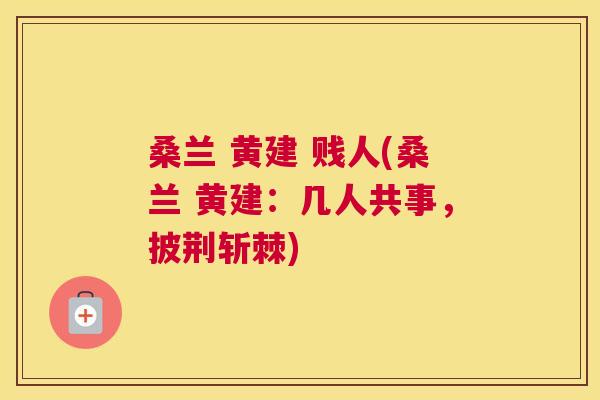 桑兰 黄建 贱人(桑兰 黄建:几人共事,披荆斩棘) 桑兰 黄建 贱人(桑兰 黄建:几人共事,披荆斩棘)