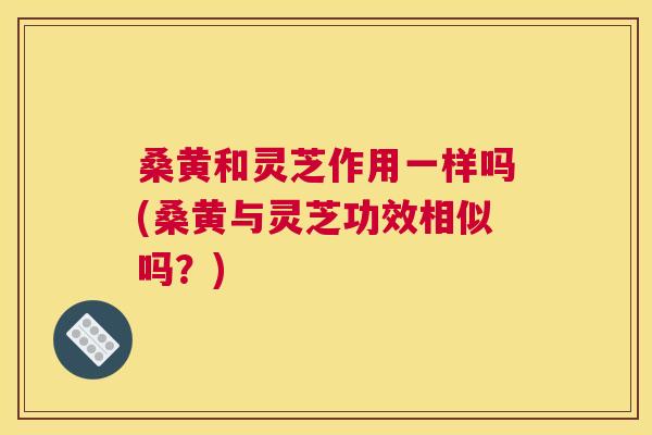 桑黄和灵芝作用一样吗(桑黄与灵芝功效相似吗?) 桑黄和灵芝作用一样吗(桑黄与灵芝功效相似吗?)