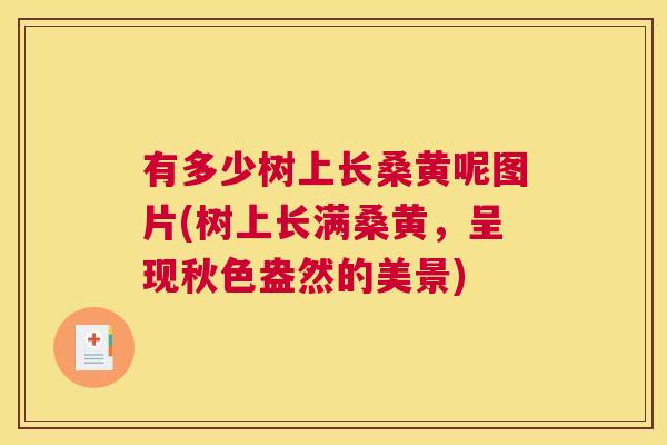 有多少树上长桑黄呢图片(树上长满桑黄,呈现秋色盎然的美景) 有多少树上长桑黄呢图片(树上长满桑黄,呈现秋色盎然的美景)
