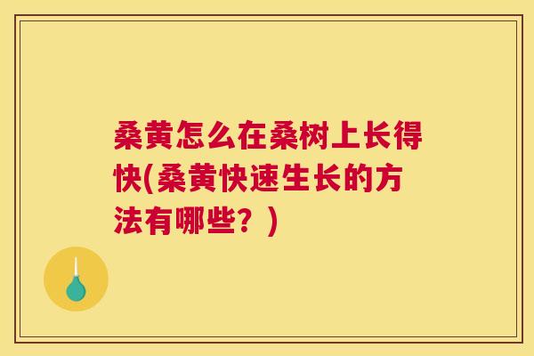 桑黄怎么在桑树上长得快(桑黄快速生长的方法有哪些?) 桑黄怎么在桑树上长得快(桑黄快速生长的方法有哪些?)