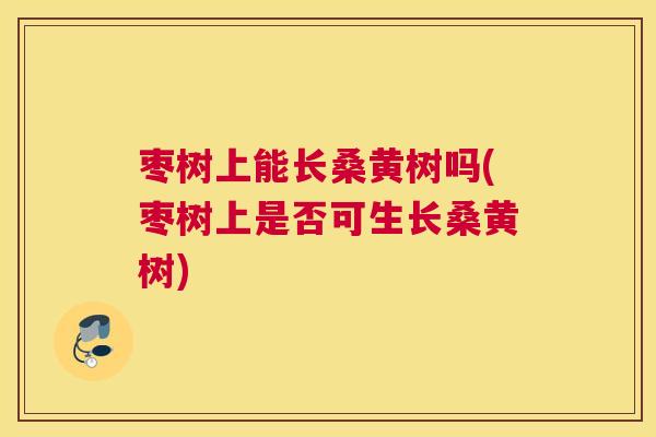 枣树上能长桑黄树吗(枣树上是否可生长桑黄树) 枣树上能长桑黄树吗(枣树上是否可生长桑黄树)