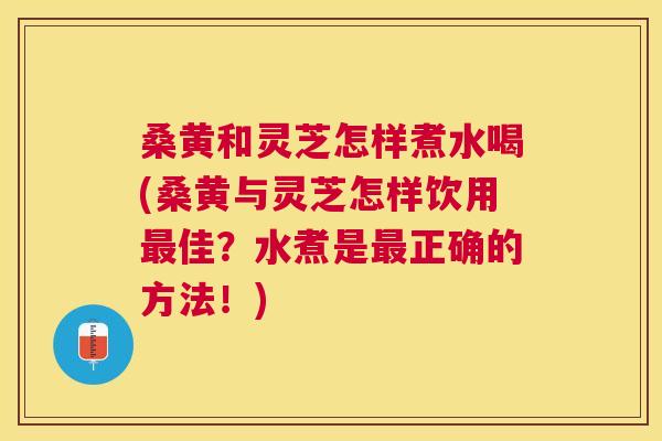 桑黄和灵芝怎样煮水喝(桑黄与灵芝怎样饮用佳?水煮是正确的方法!) 桑黄和灵芝怎样煮水喝(桑黄与灵芝怎样饮用佳?水煮是正确的方法!)
