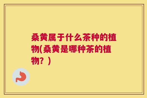 桑黄属于什么茶种的植物(桑黄是哪种茶的植物?) 桑黄属于什么茶种的植物(桑黄是哪种茶的植物?)