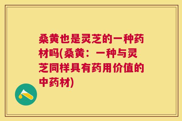 桑黄也是灵芝的一种药材吗(桑黄:一种与灵芝同样具有药用价值的材) 桑黄也是灵芝的一种药材吗(桑黄:一种与灵芝同样具有药用价值的材)