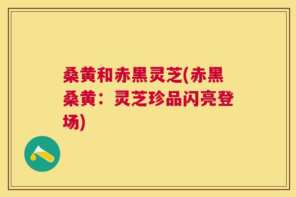 桑黄和赤黑灵芝(赤黑桑黄:灵芝珍品闪亮登场) 桑黄和赤黑灵芝(赤黑桑黄:灵芝珍品闪亮登场)