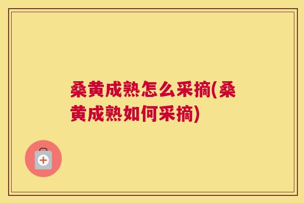 桑黄成熟怎么采摘(桑黄成熟如何采摘) 桑黄成熟怎么采摘(桑黄成熟如何采摘)