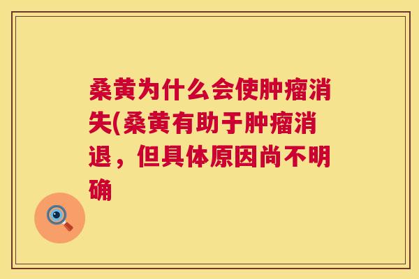桑黄为什么会使消失(桑黄有助于消退,但具体原因尚不明确 桑黄为什么会使消失(桑黄有助于消退,但具体原因尚不明确