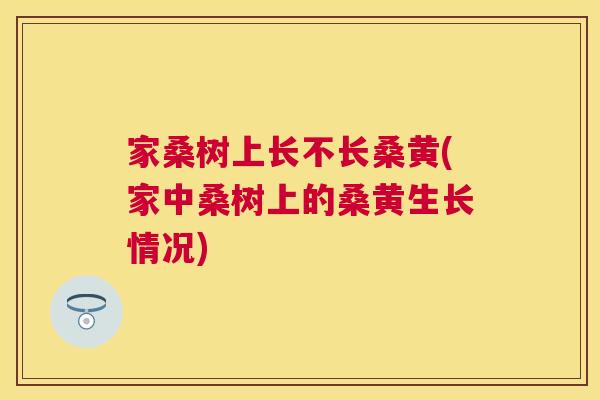 家桑树上长不长桑黄(家中桑树上的桑黄生长情况) 家桑树上长不长桑黄(家中桑树上的桑黄生长情况)