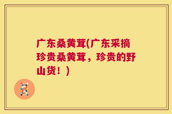 广东桑黄茸(广东采摘珍贵桑黄茸,珍贵的野山货!) 广东桑黄茸(广东采摘珍贵桑黄茸,珍贵的野山货!)